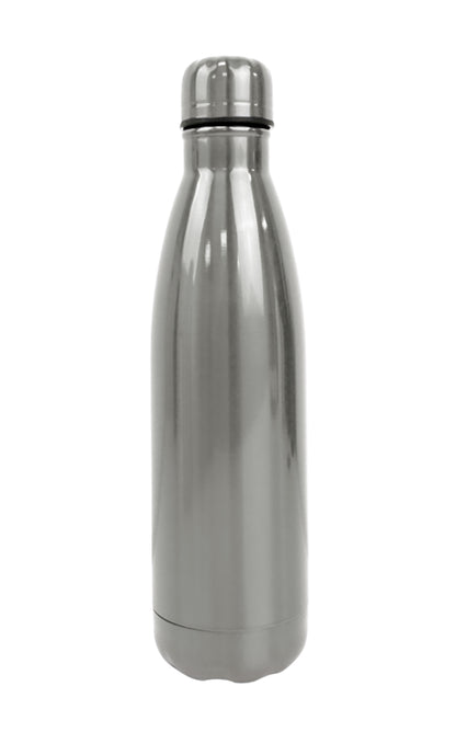 Silver insulated bottle on a white background